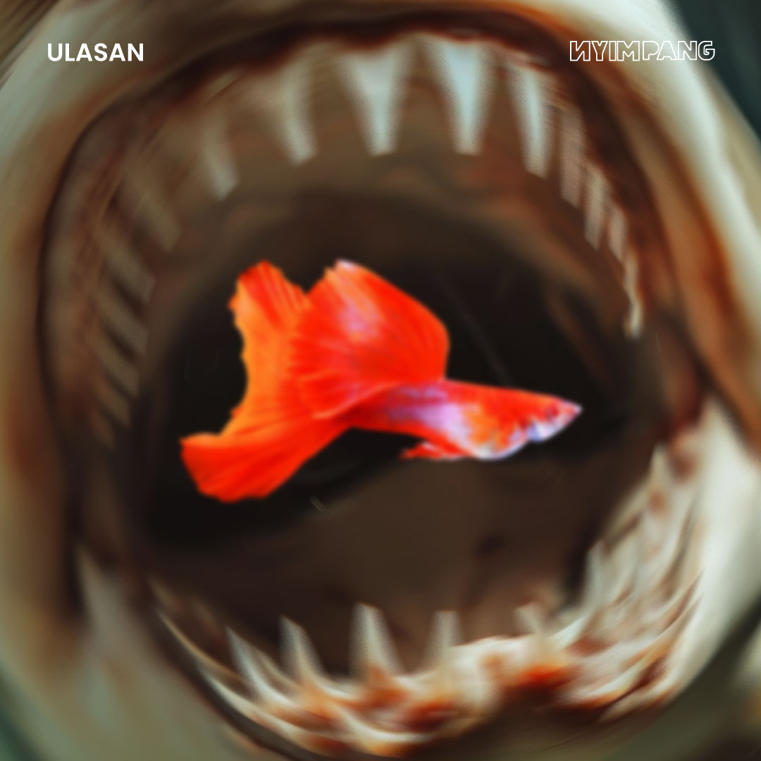 Filosofi Ikan Guppy dan Ilusi YOLO pada Ketidakpastian Ekonomi Ini Hari dalam The Art of Spending Money karya Morgan Housel