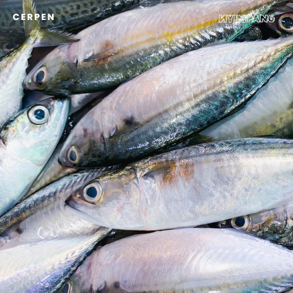 Di Antara Jenazah dan Makan Malam