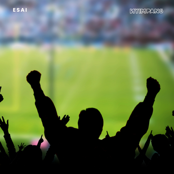 Dampak Menonton Tim Sepak Bola Kesayangan terhadap Laki-Laki seperti Saya