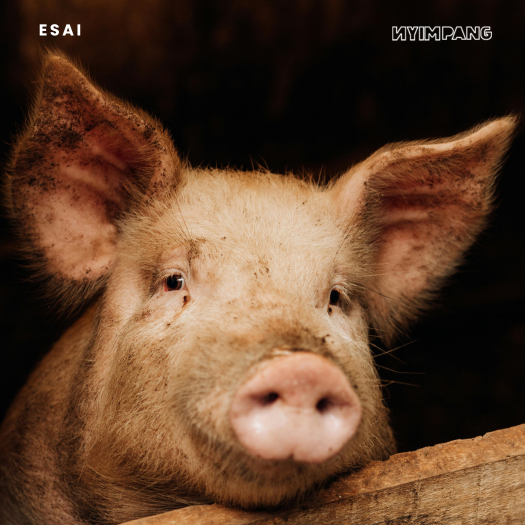 Melihat Banalitas Kepemimpinan Perspektif George Orwell dalam Animal Farm