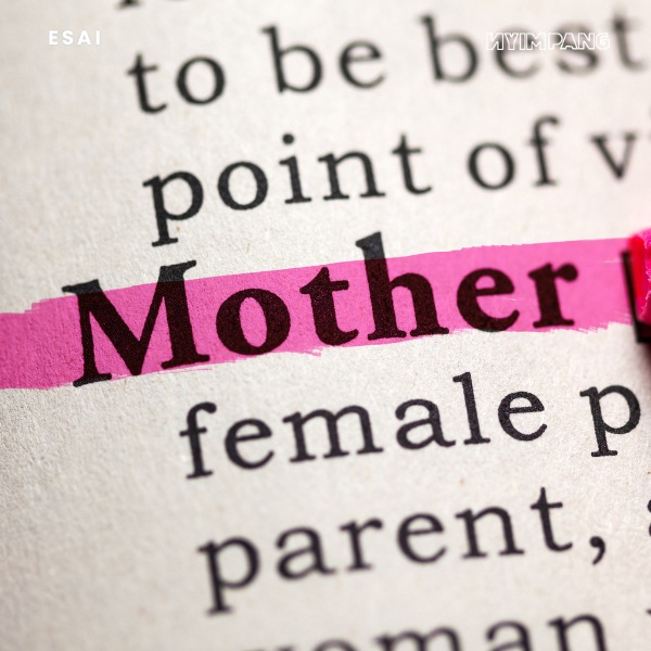 Tidak Usah Pura-Pura Baik dengan Perempuan yang Punya Anak dan Ibu Bekerja