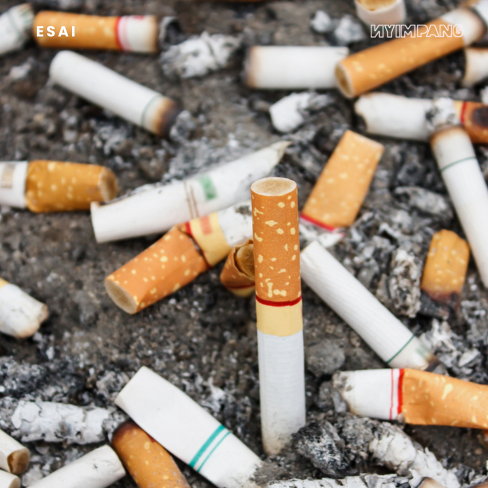 Dear Pemerintah, Jangan cuma Boikot dan Razia Rokok Ilegal aja, dong! Lihat yang Terjadi di Madura!